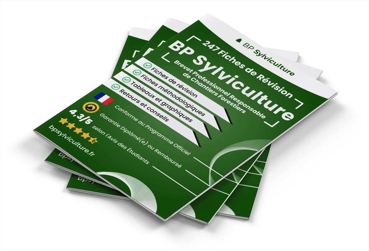 247 Fiches de Révision pour le BP Sylviculture